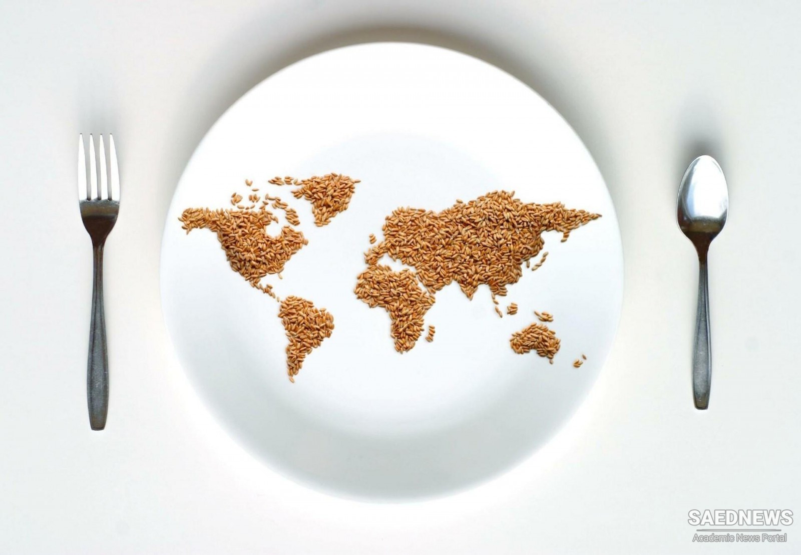 The Ever-Growing Hunger in the World