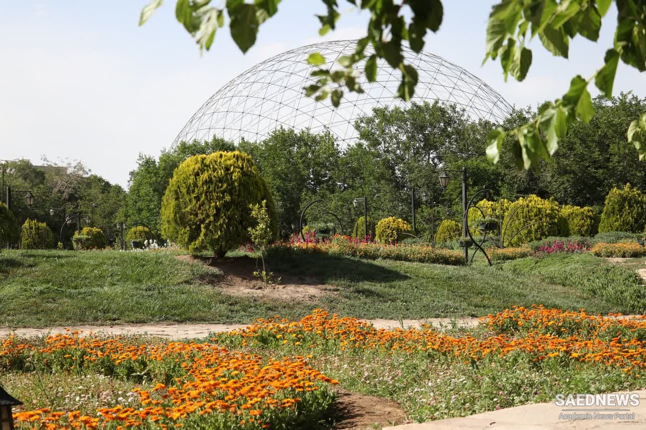 Mashhad Garden welcomes tourists with colorful autumn beauties