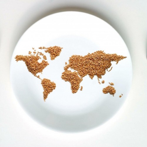 The Ever-Growing Hunger in the World
